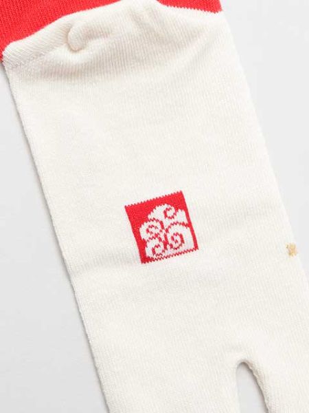 IWAI Split Toe Tabi Socks 23-25cm