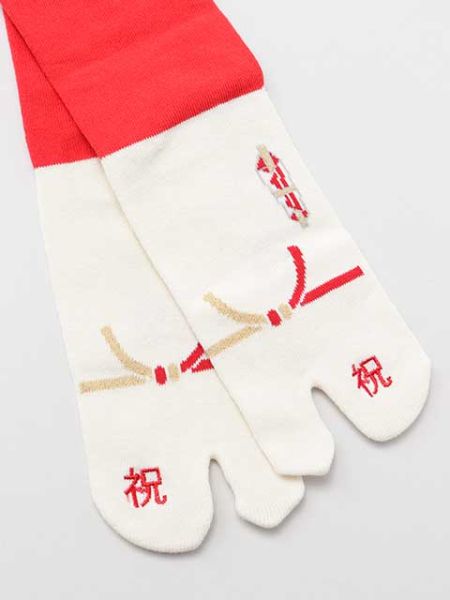 IWAI Split Toe Tabi Socks 23-25cm