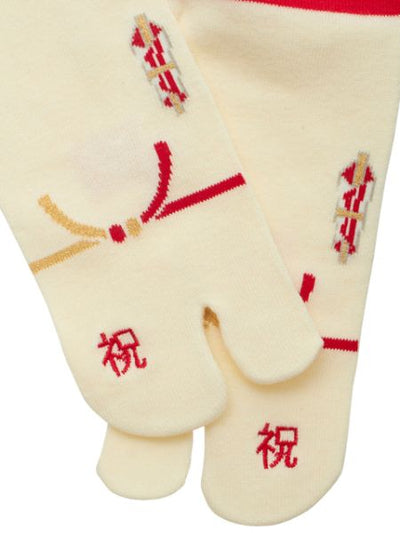 IWAI Split Toe Tabi Socken 25-28cm
