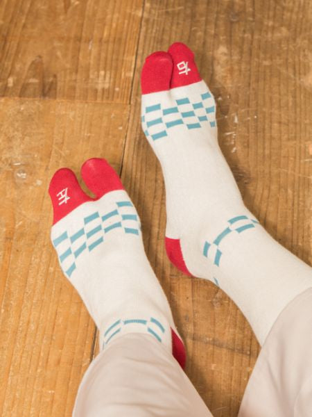 TABI Socks - JAPAN 25 - 28cm