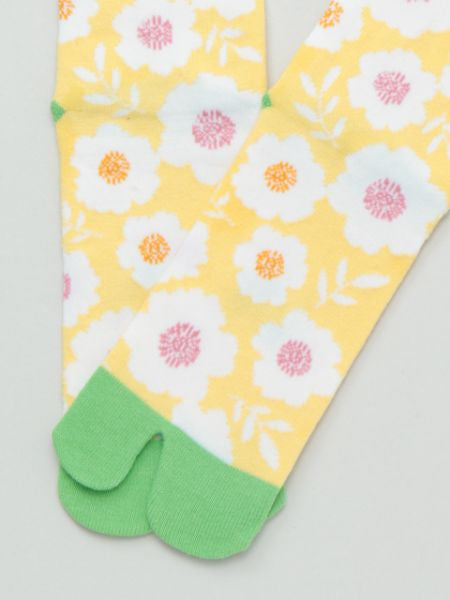 Chaussettes AOI TABI 23-25cm